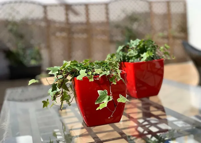 La Casetta Rossa דירה