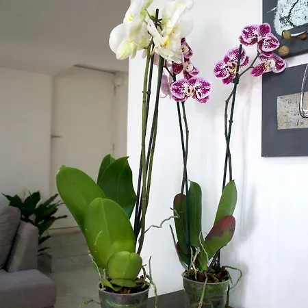 Apartman La Casetta Rossa *